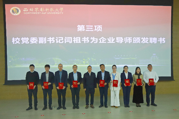 校党委副书记闫祖书为企业导师颁发聘书.jpg