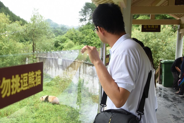 0758ee38fd5045f389732c964a00e1c9.jpg 图1 实践队与大熊猫互动.JPG