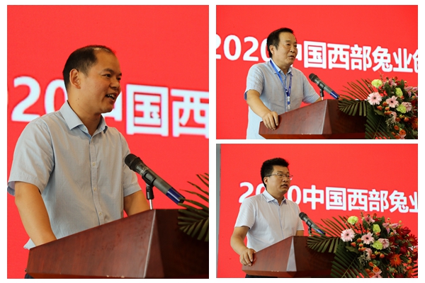 37a13f2d4e5b4c6399549192f69b79cd.jpg 光影魔术手拼图.jpg
