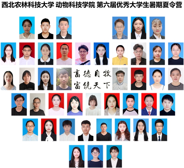4bc4a3beb5764752b53b670f50b0ad20.jpg 合影.jpg