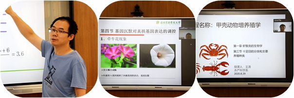 c61f9d4fa3d2494fb80657004cd5d58a.jpg 1-5.jpg