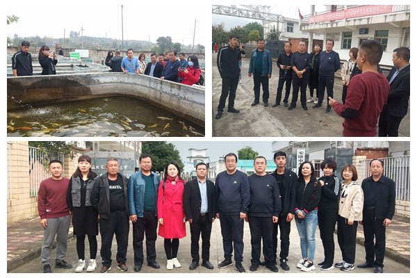 b19cfe6a275e449ca415d60a1f6ed33a.jpg NeoImage_副本.jpg