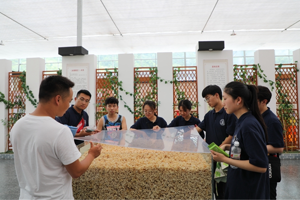 2f8706487ddd4e308050f329053ffe7c.jpg 图片二 团队成员参观柞水特色木耳馆.JPG