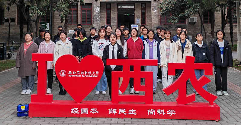 624641e6ea8c48daaf40fe6b7c249ccc.png 图片5.png