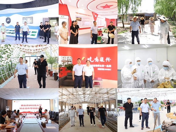 122ab611ed1d40f9802766a18569efe0.jpg 走访企业.jpg