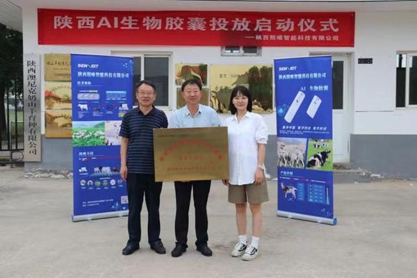 ba791c6002664820bb01e9c5eb3ea3f8.jpg 1_副本.jpg