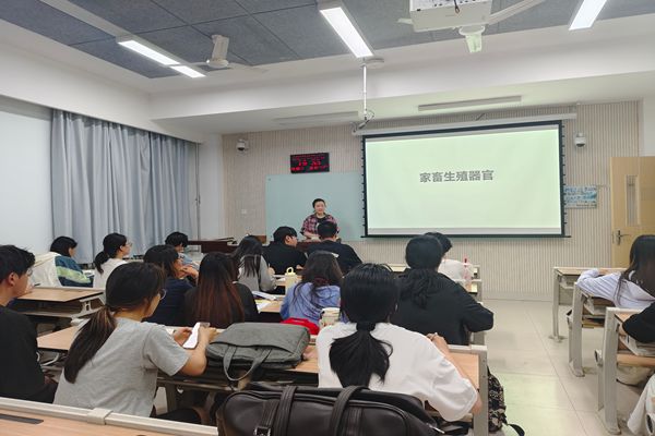 朋辈助学团成员进行授课.jpg
