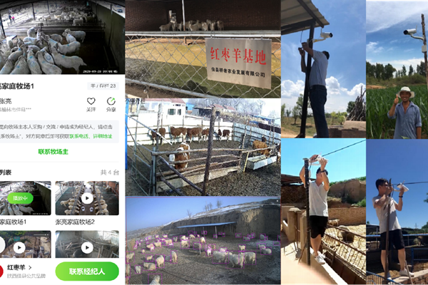 “小牧丁”APP入驻田间地头.png