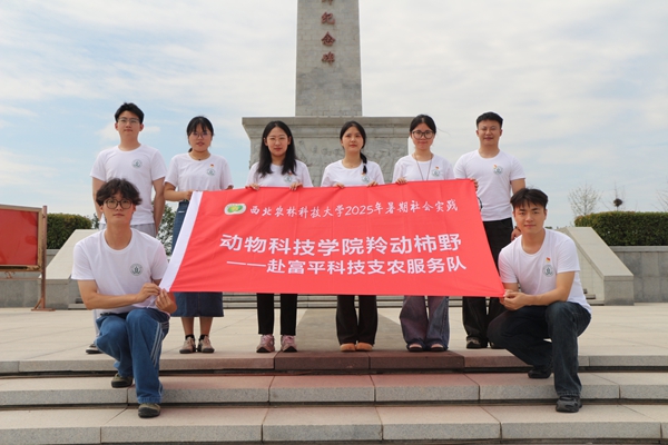 图片1.jpg