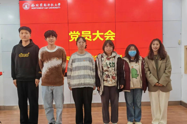222.jpg