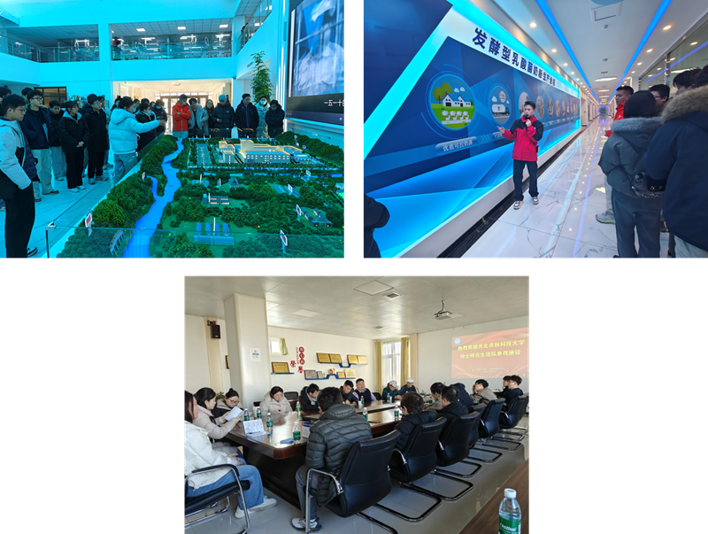 图片1_副本.png