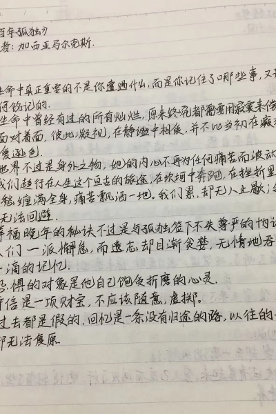 图二 《百年孤独》摘记：孤独与记忆的回响.jpg
